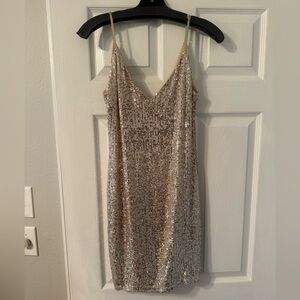 Lovely Day Silver Sequin Mini Dress